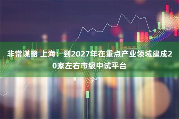 非常谋略 上海：到2027年在重点产业领域建成20家左右市级中试平台