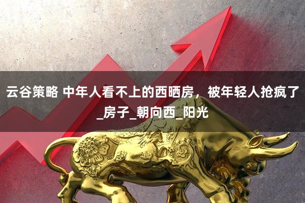 云谷策略 中年人看不上的西晒房，被年轻人抢疯了_房子_朝向西_阳光