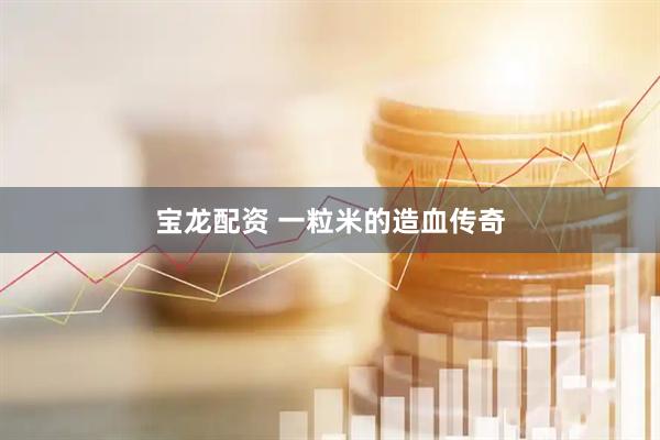 宝龙配资 一粒米的造血传奇