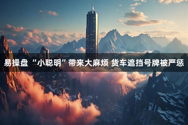 易操盘 “小聪明”带来大麻烦 货车遮挡号牌被严惩