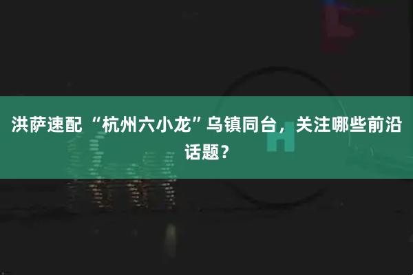 洪萨速配 “杭州六小龙”乌镇同台,关注哪些前沿话题?