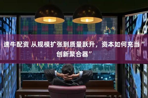 速牛配资 从规模扩张到质量跃升,资本如何充当“创新聚合器”